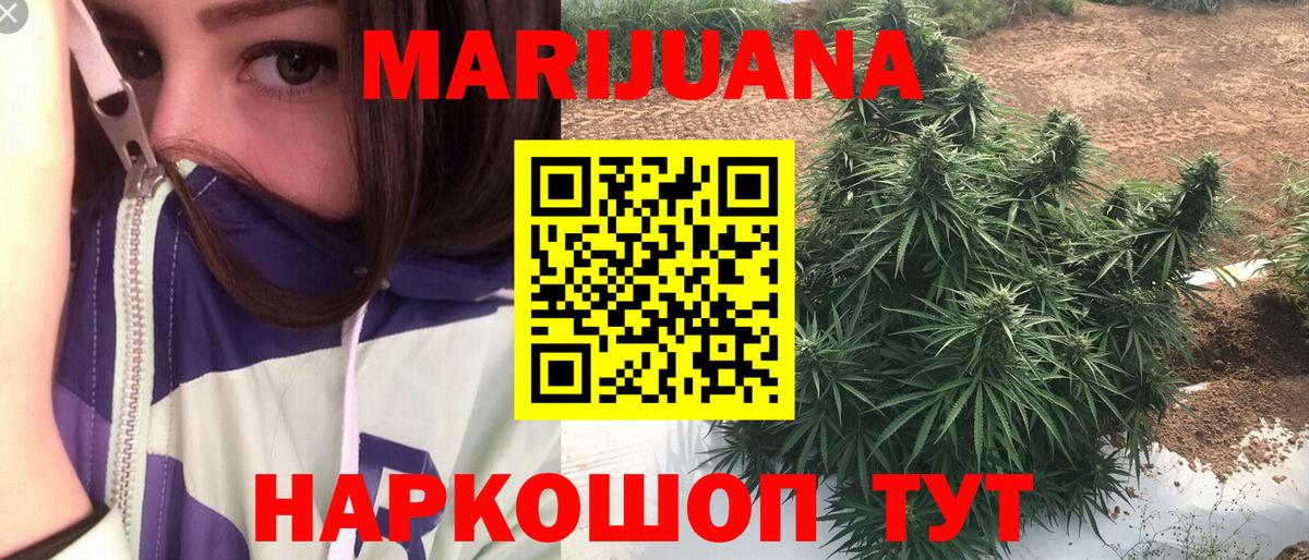 Канабис планчик Кстово